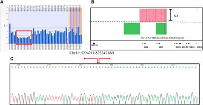 Utilization of multiple genetic methods for prenatal diagnosis of rare thalassemia variants